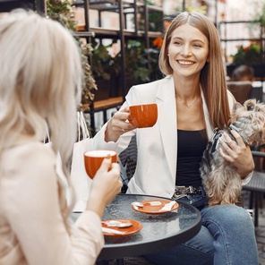 Наставничество